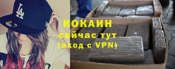молекула духа Бронницы