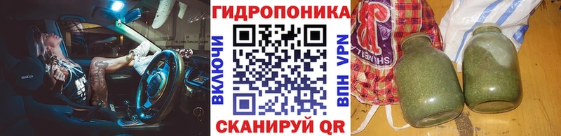 Бошки марихуана Amnesia Дагестанские Огни